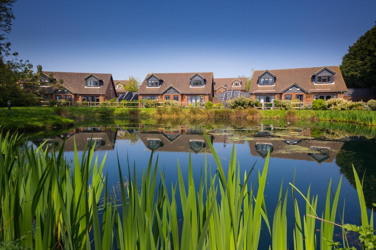 The Lakes Rookley Eksteriør billede The new houses at the heart of the village
